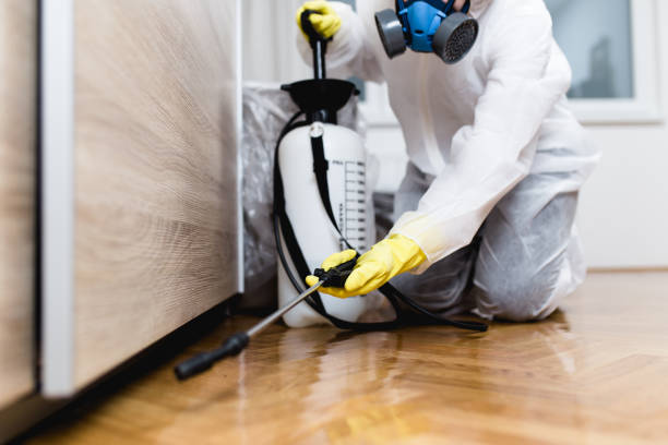 Best Best Pest Control Companies  in Creston, OH