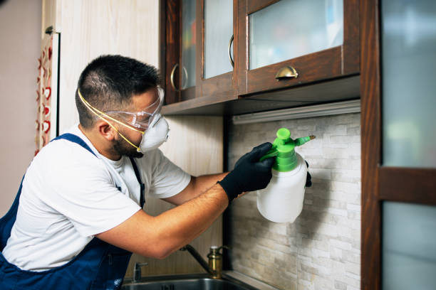 Best Pest Inspection Near Me  in Creston, OH