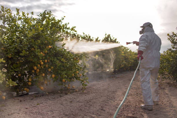 Best Bed Bug Extermination  in Creston, OH