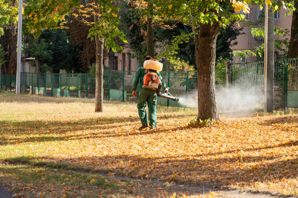 Best Pest Removal Services  in Creston, OH